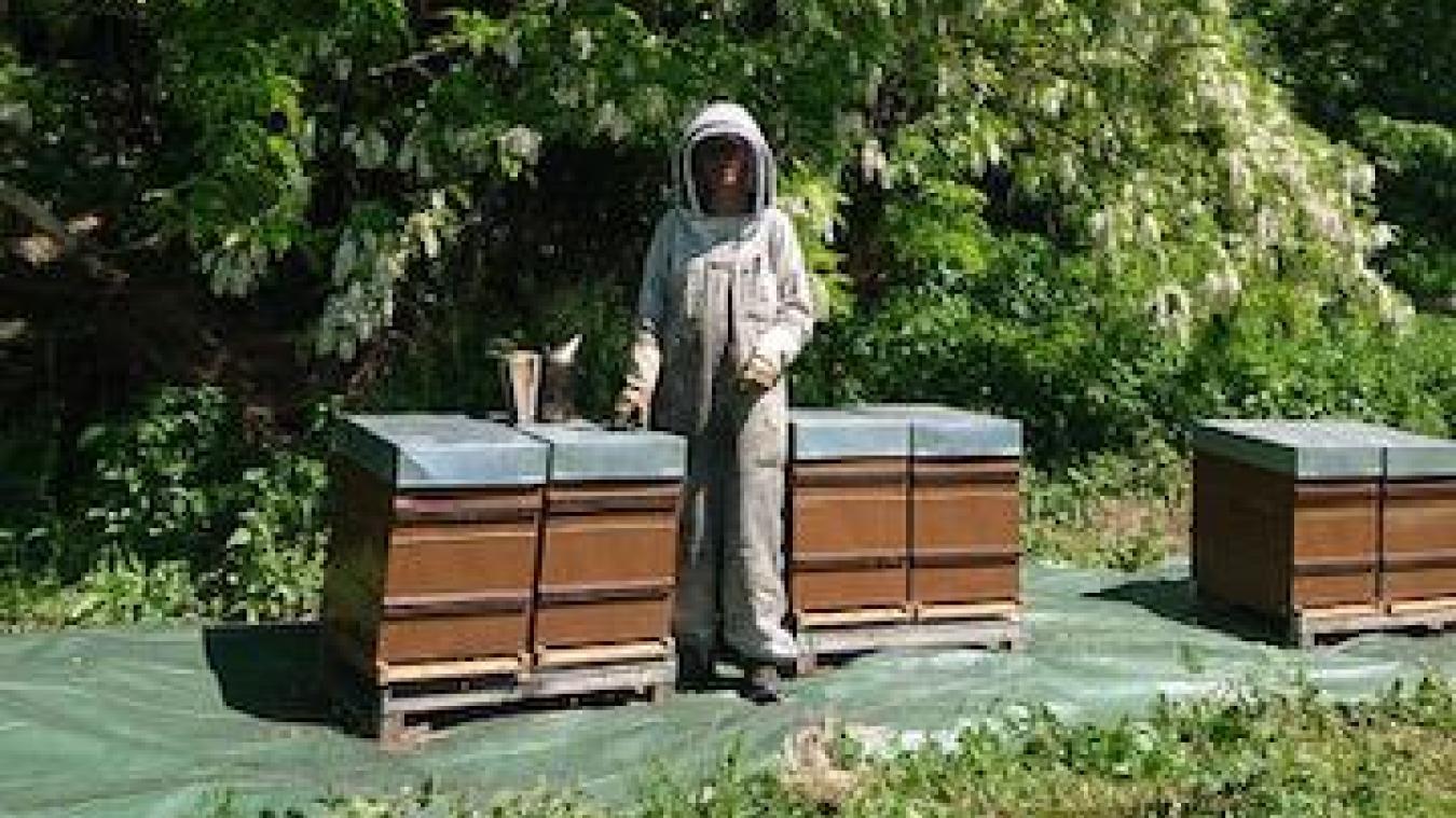 L’apicultrice est inquiète de l’hivernage de ses ruches.