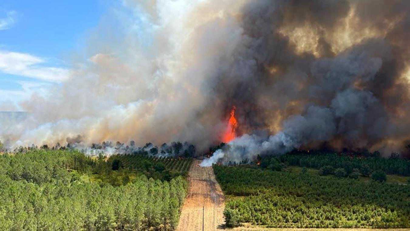 L’incendie de Landiras, qui a ravagé une partie de la Gironde en juillet, a repris mardi 9 août. Plus de 6 000 hectares ont brûlé et 6 000 personnes ont été évacuées ce mercredi.
