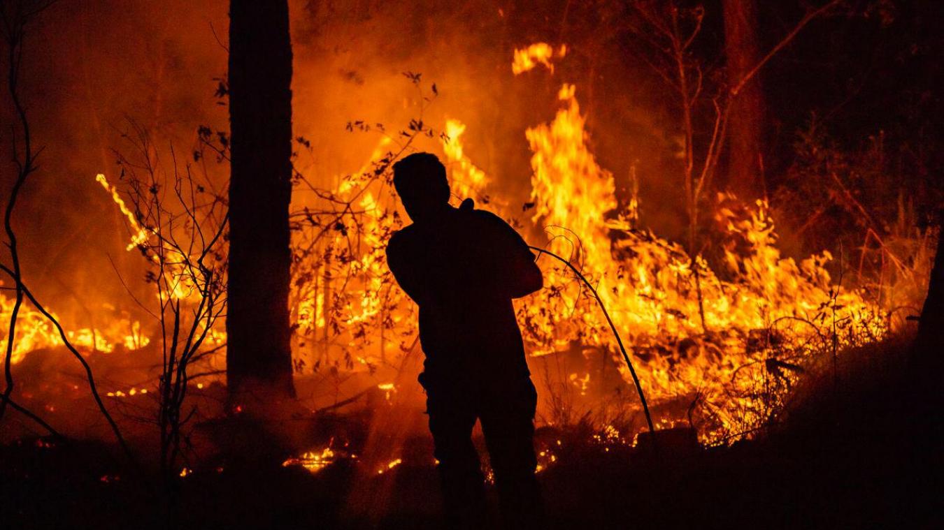 Depuis le début de l’année, plus de 48 000 hectares de terre ont été brûlés par les incendies.