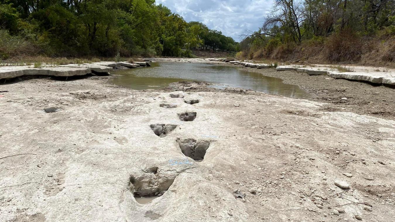 Des traces de dinosaures vieilles de 113 millions ont été révélées par l’assèchement d’une rivière au Texas, aux Etats-Unis.