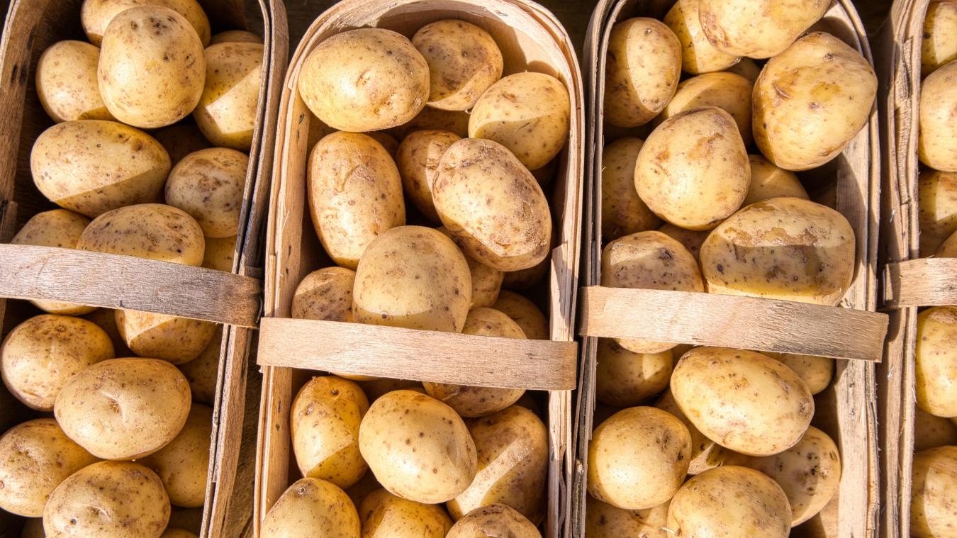 Une revalorisation des prix pourrait être exercée sur les pommes de terre, pour assurer la pérennité économique du secteur.
