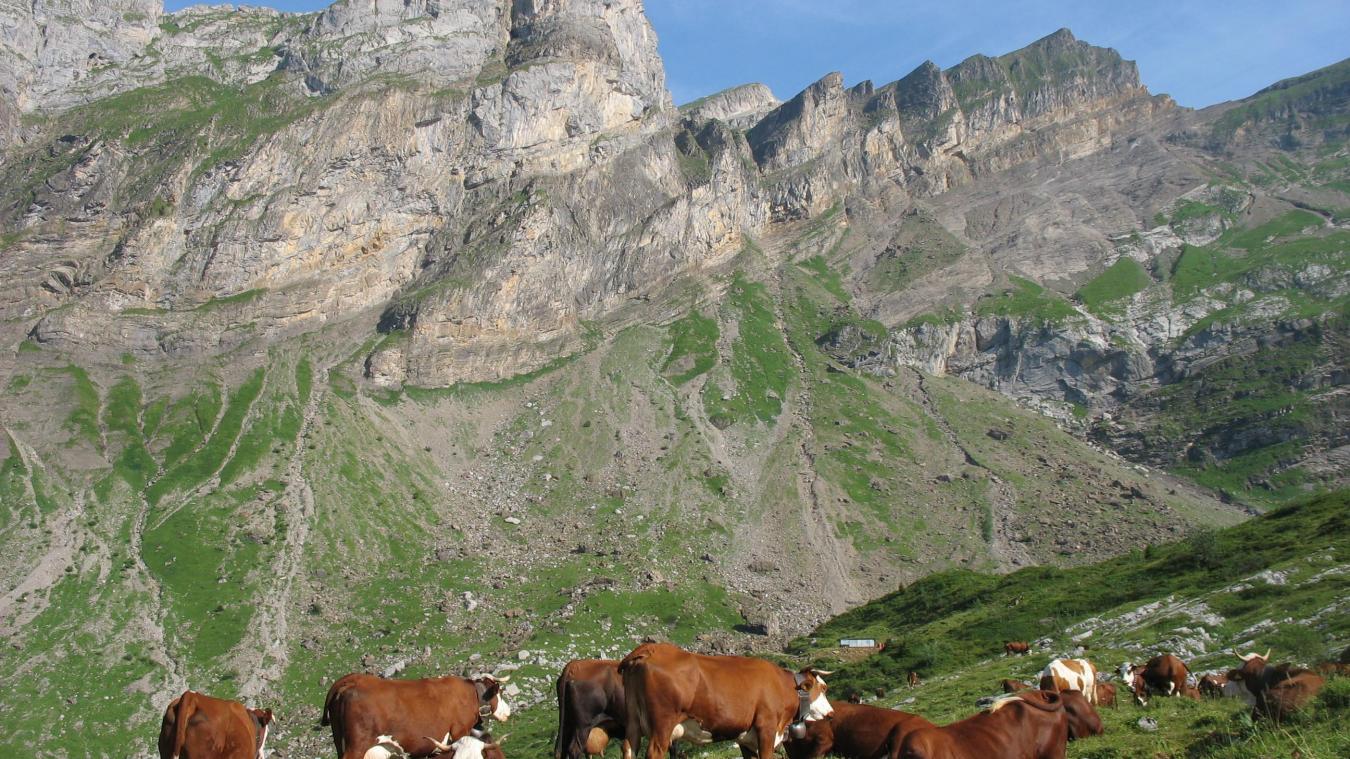 Les nombreuses initiatives prises avec le soutien de l'Association foncière pastorale (AFP) et de la Société d'économie alpestre (SEA 74) concourent à la pérennisation de l'agriculture de montagne.