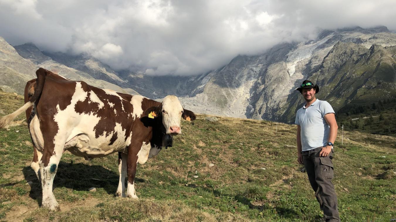Cet été, les vaches de Guillaume Mollard ont perdu jusqu’à 100kg.