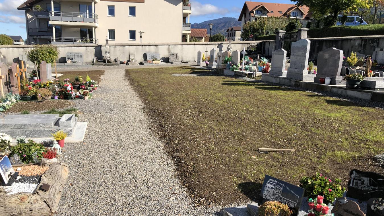 A la place des 24 tombes exhumées au cimetière de Bons-en-Chablais, de la terre et du gazon qui repousse.