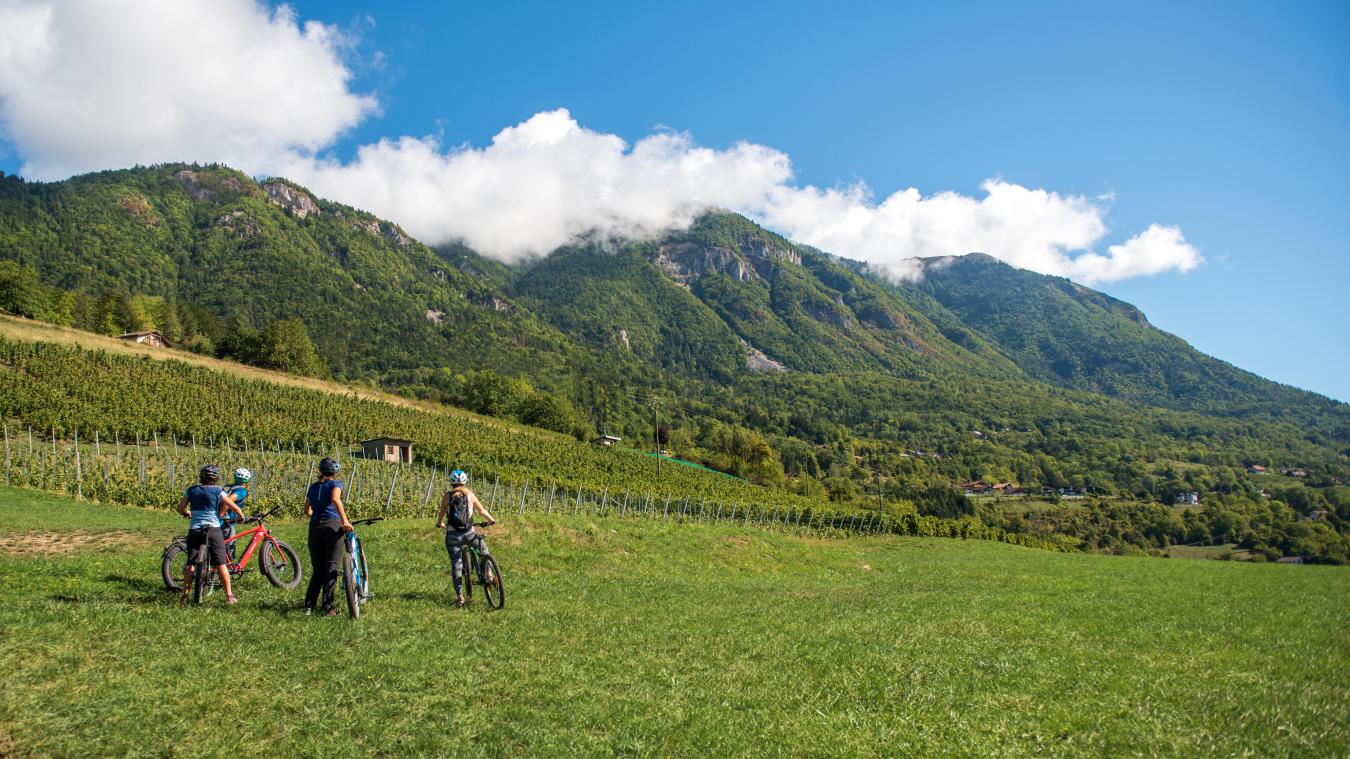 L’office de tourisme Faucigny Glières propose Vélo Vignes, trois parcours à travers le vignoble ayzois, en compagnie d’André Genin (© OT Faucigny Glières).