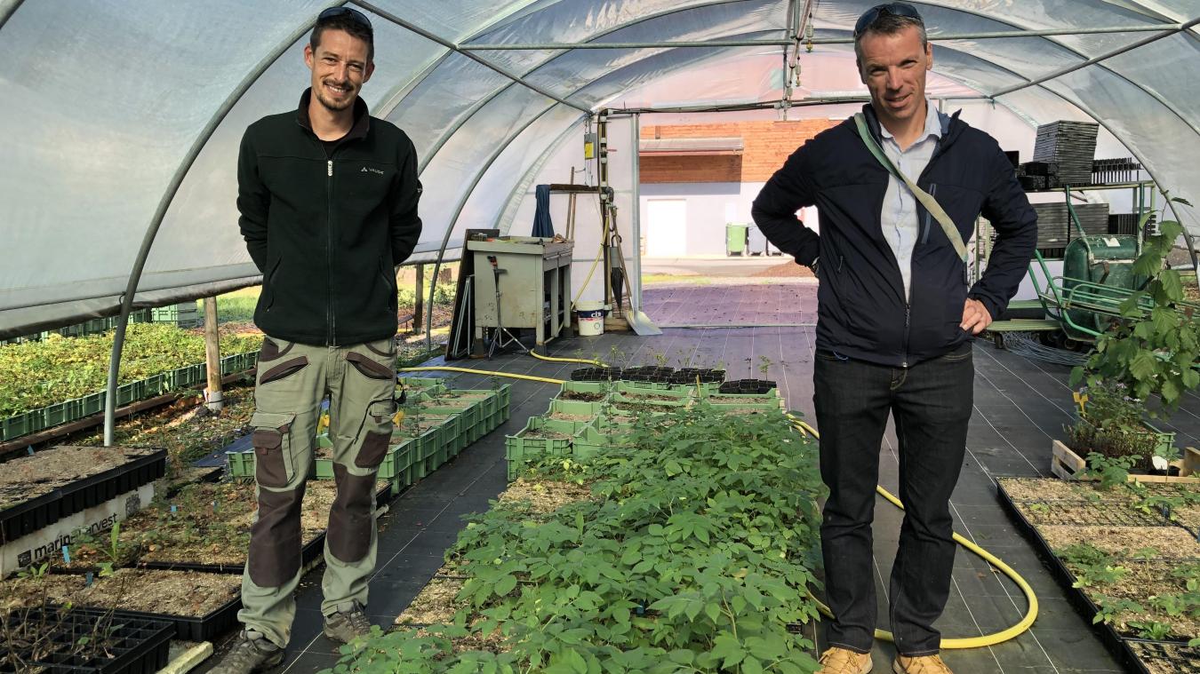 À l’Envirothèque de Contamine-sur-Arve, ils préservent nos végétaux les mieux adaptés à notre climat
