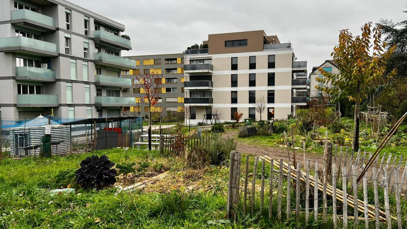 L’écoquartier Les Vergers, situé à Meyrin, s’étale sur 16 hectares et abrite environ 3 000 habitants.