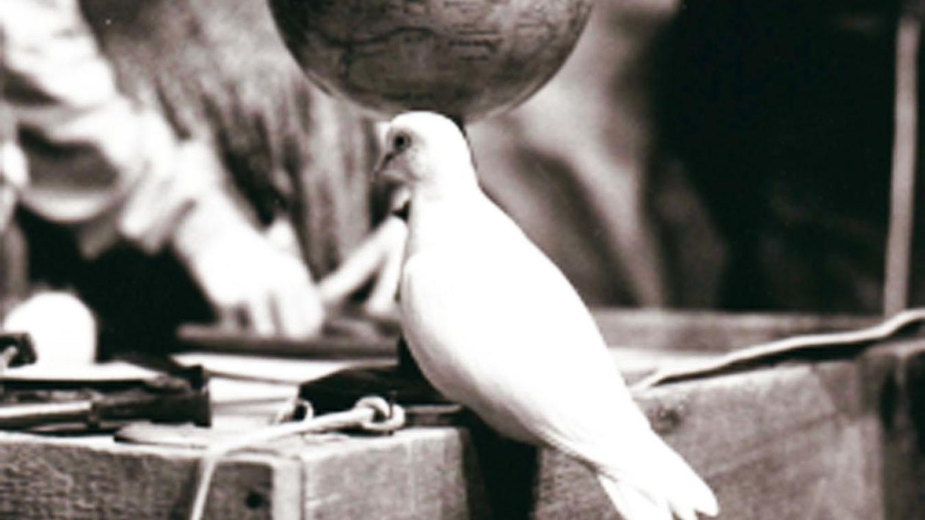 La colombe devant le globe, symbole de la paix mondiale a été choisie par Jean-Michel Pernod en  couverture du livre. © Claude <a href=mailto:Henry@Coll>Henry@Coll</a>. Rifka
