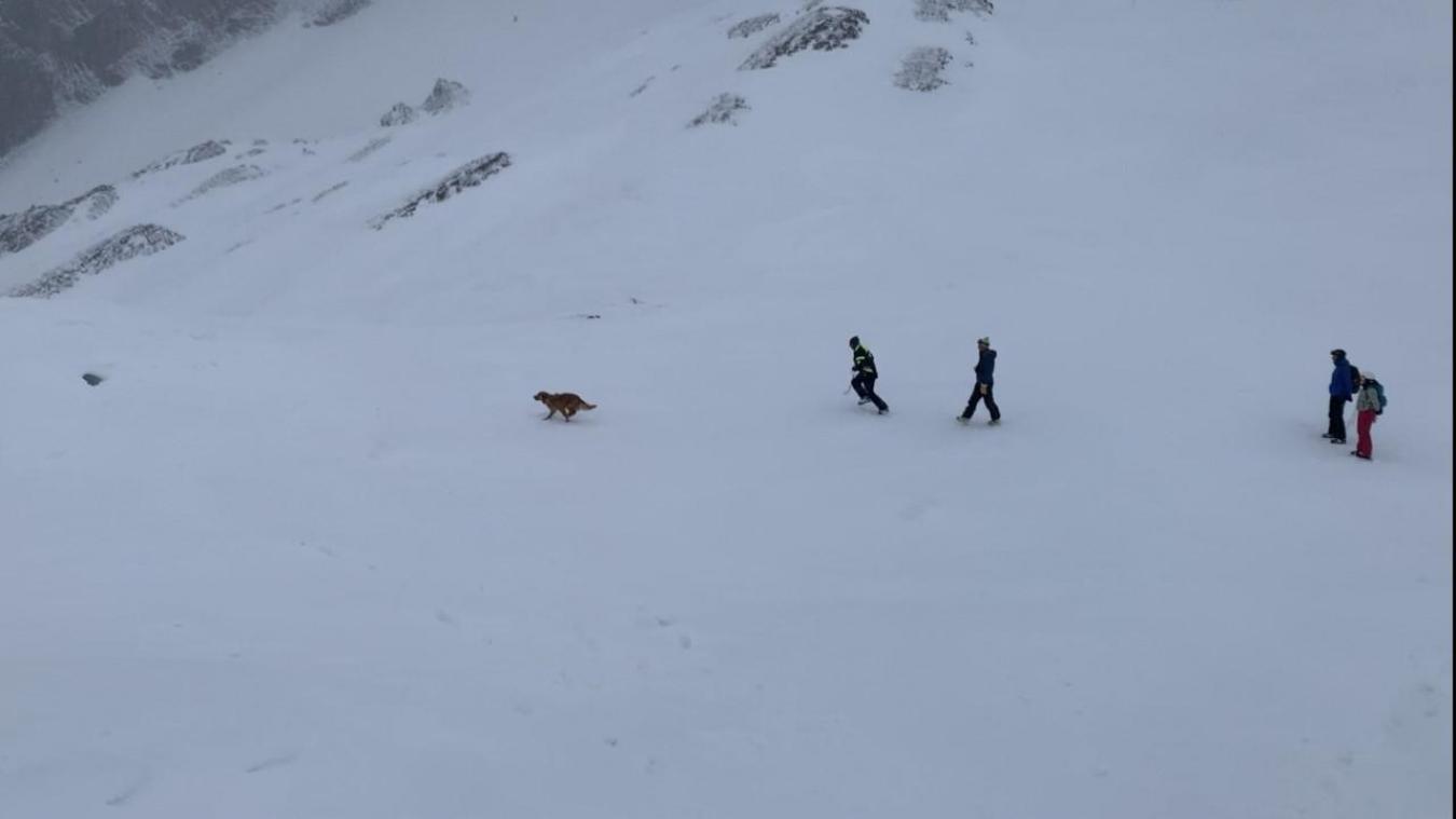 Ce chiot répond parfaitement à la formation dispensée par les maîtres chien d’avalanche.