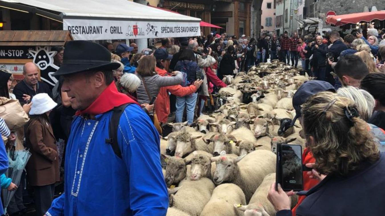 Ain, Savoie et Haute-Savoie : nos idées sorties pour le week-end du 11 octobre