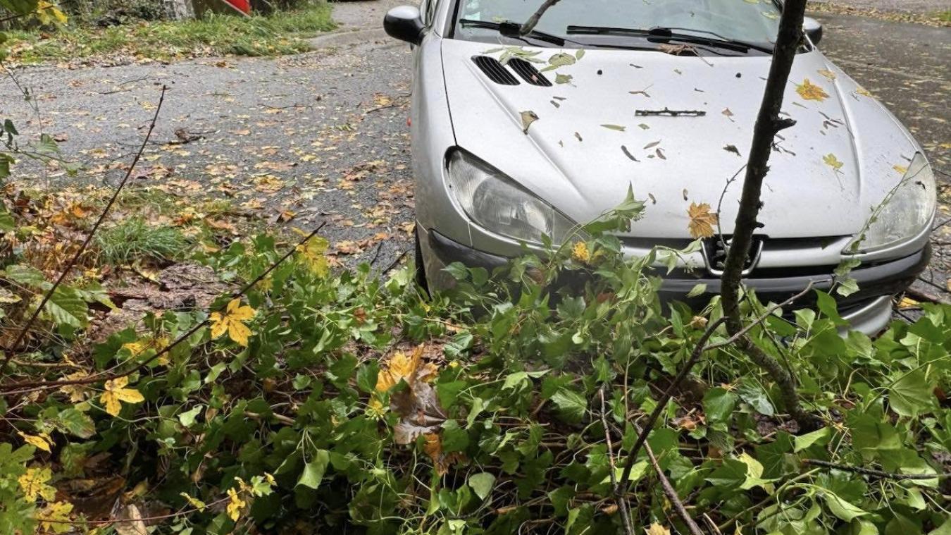 Tempête Benjamin : à Aix-les-Bains, quelques dégâts matériels recensés