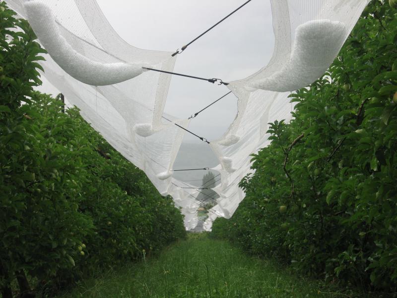 Coronavirus Les Agriculteurs Haut Savoyards Face A La Pandemie
