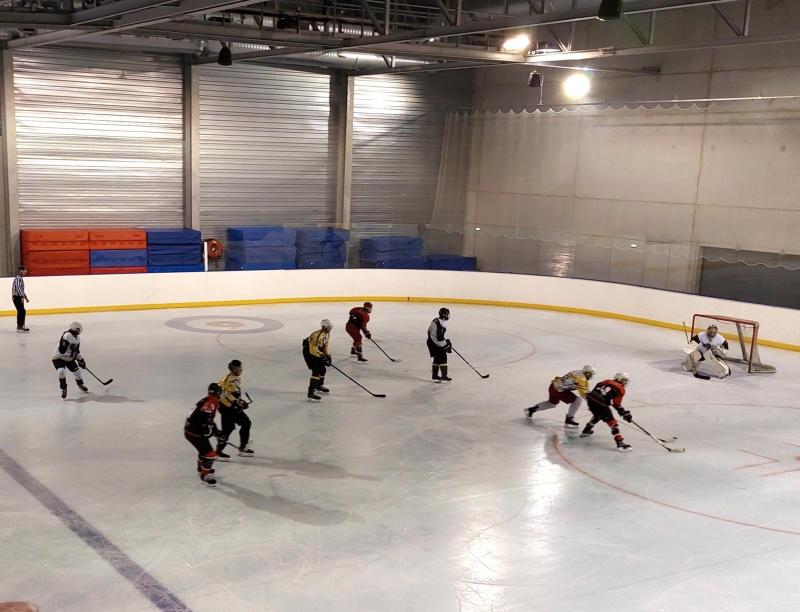 Hockey Albertville les Castors ont fait barrage aux Eléphants L