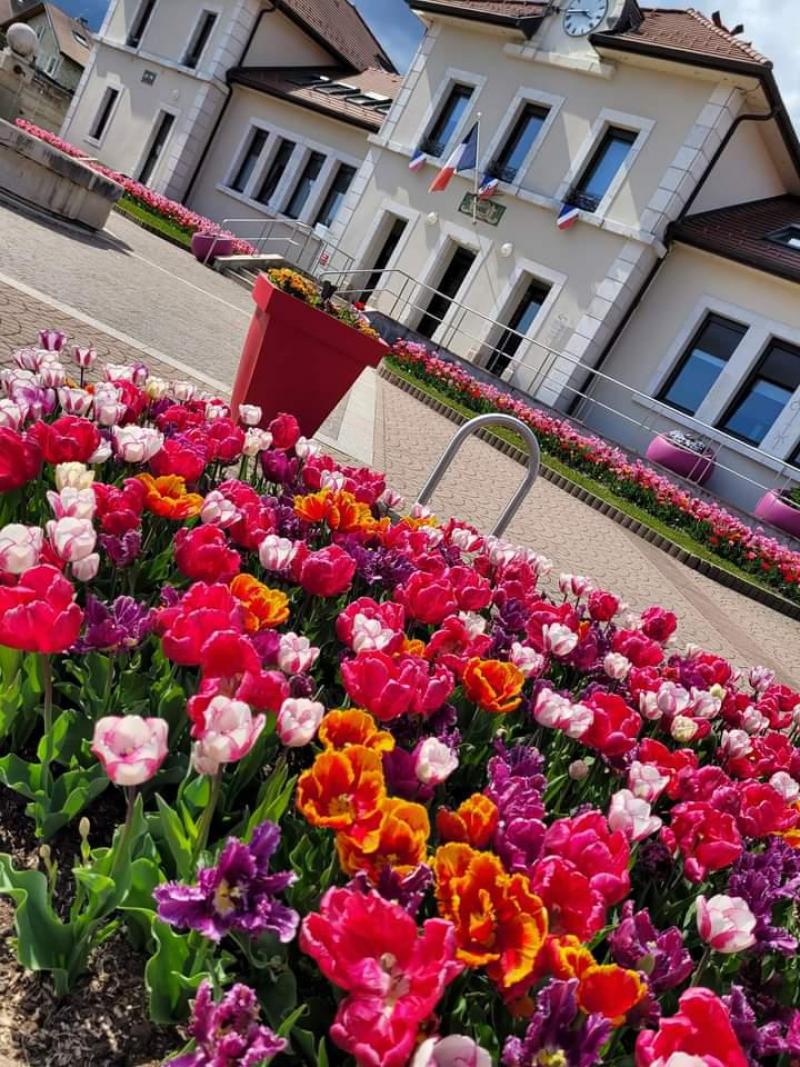 Parterre de fleurs devant la mairie.