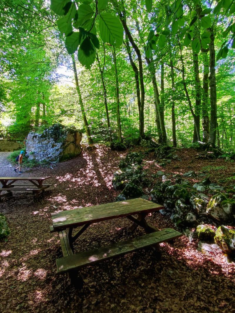 Un espace pique-nique dans le parc Sylvestre.