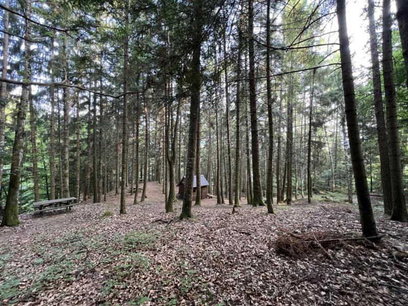 C’est l’Apfa qui gère l’aire de pique-nique ainsi que les chemins qui parcourent la forêt.