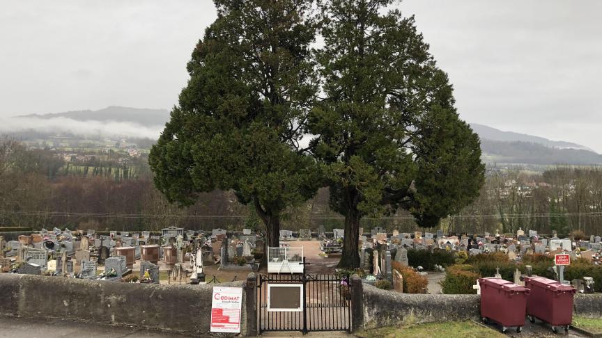 Le cimetière de Cranves-Sales va bénéficier d’une cure de rajeunissement à partir du mois de février.