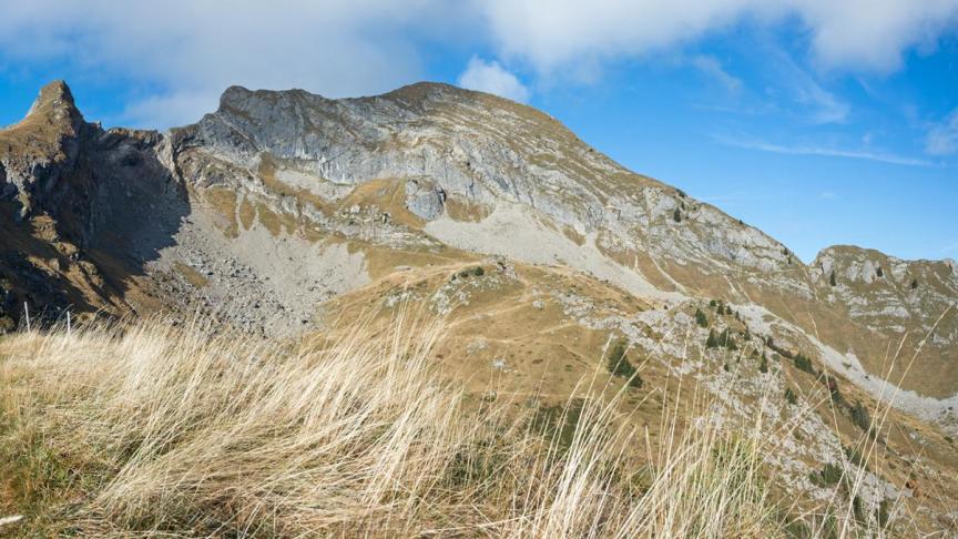 Les subventions allouées aux communes dans le cadre des zones Natura 2000 peuvent avoir de multiples usages.