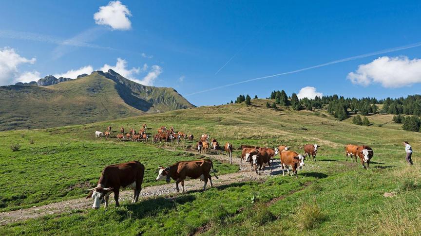 Les intercommunalités ont ainsi décidé de s’orienter vers le slow tourisme, c’est-à-dire un tourisme durable.