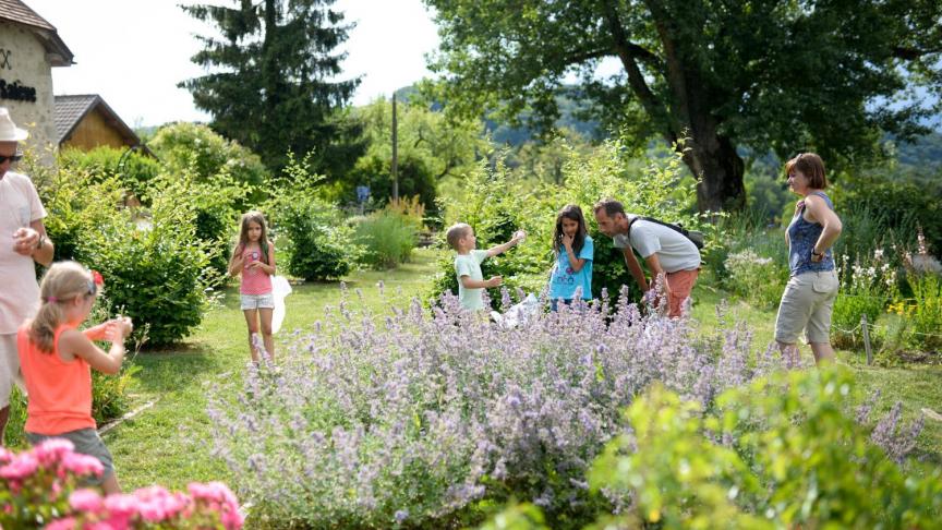 Avec la Maison du Salève ou les accompagnateurs du massif, un été propice à la découverte de nombreuses activités dans le secteur.