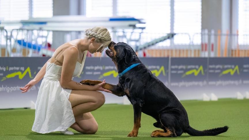 Alyson Gaume et son chien Magnum sont prêts pour le grand prix de France et le championnat de France Dog Dancing 2002.