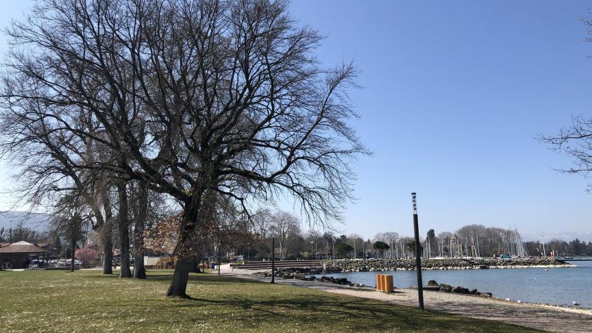 Les températures vont encore avoisiner les 20 °C à Thonon-les-Bains, ce mercredi 26 octobre.
