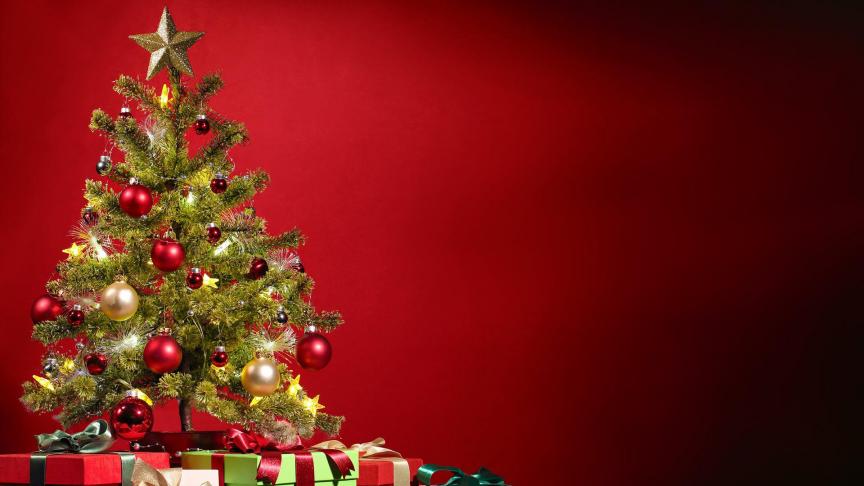 Une étude révèle les sommes d’argent dépensées en 2022 pour l’achat des sapins de Noël.