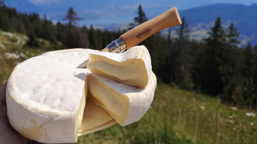 Vous avez choisi le meilleur fromage de nos pays de montagne: le reblochon !