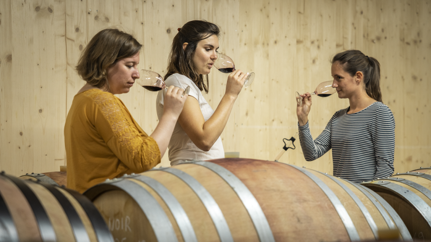 Les vins rouges suisses confinent aujourd’hui à l’excellence. ©Key Story - Nyon Région Tourisme