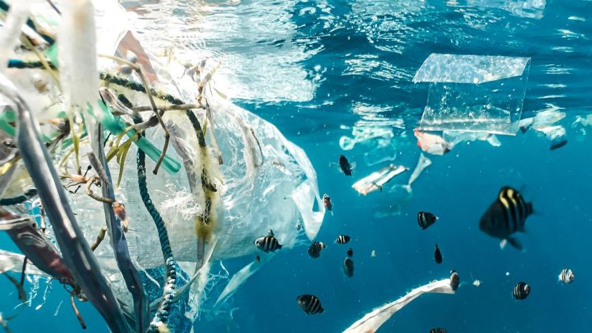 La planète entière est submergée par les plastiques. Le WWF engage ses convictions pour peser dans les décisions de l’ONU.