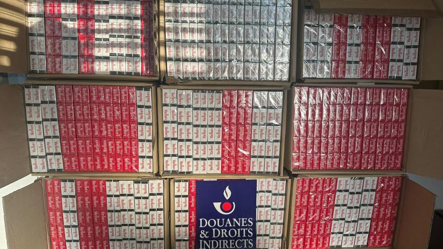 Haute-Savoie/Ain : montres de luxe, faux billets, python… le butin des  douanes en 2023