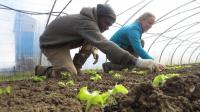 Les AMAP et producteurs qui font de la vente directe sont directement impactés par le couvre-feu à 18h. Ici, au Petit Chaperon Vert à Cran-Gevrier.