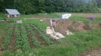 Ici à Villaz, les potagers sont un lieu de partage.