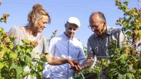 Hubert Chanove, avec son père Jean-Marie, chez Sandra Lionnet, la dernière productrice de framboises de Machilly. Photo Millo Moravski