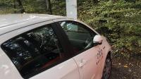 Une voiture Citiz au parc des Cèdres à Gex.