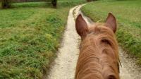 Les deux cavalières ne s’attendaient pas à ce qui allait leur arriver sur ces chemins ruraux d’apparence si paisibles...