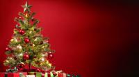 Une étude révèle les sommes d’argent dépensées en 2022 pour l’achat des sapins de Noël.