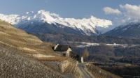 Ce sont 2 000 hectares de vignes qui jalonnent le territoire savoyard, dont une majorité de cépages produisant du vin blanc (70%).