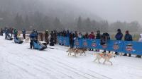 Une vingtaine de collégiens ont conduit leur attelage pour une course en conditions réelles.