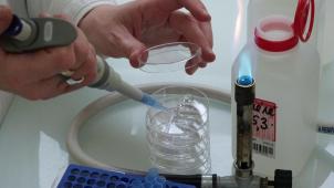 Le service de l’Eau du Grand Annecy poursuit son contrôle de l’eau.