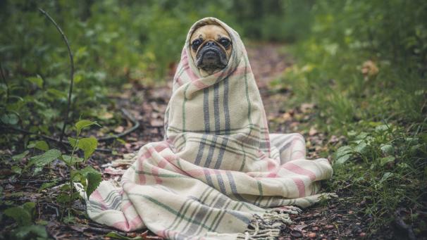 La sensation de froid n&rsquo;est pas la m&ecirc;me selon les personnes.