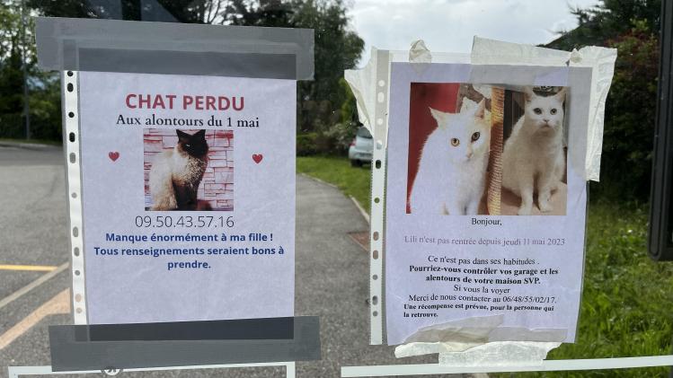Les propriétaires des chats disparus ont mis plusieurs affiches dans le village. Tout renseignement est le bienvenu.
